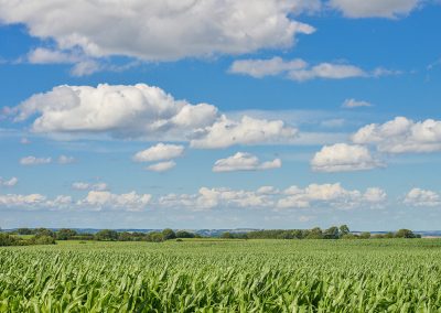 BEP NAMUR: Les circuits-courts alimentaires et l’ancrage territorial