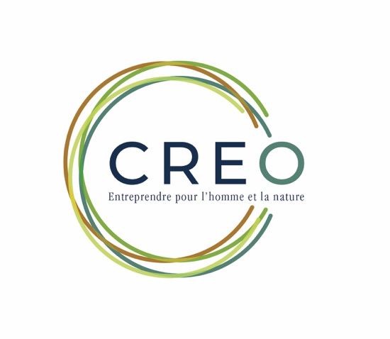 En Wallonie, le service d’accompagnement à l’entrepreneuriat de Groupe One devient CREO !