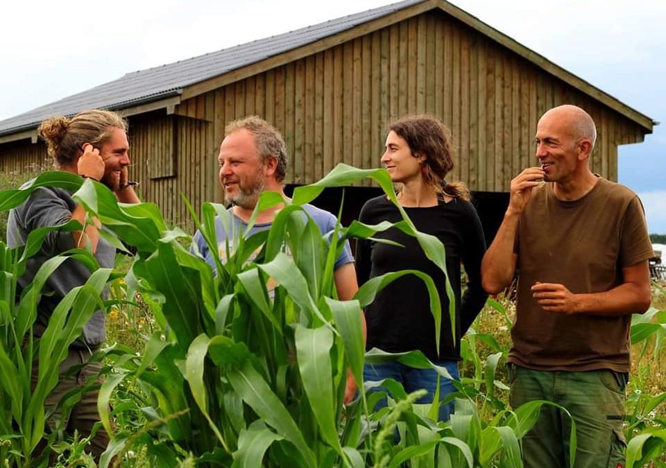 Canopée, une coopérative en agroforesterie dans la région d’Arlon