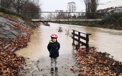 Des villes-éponges en devenir